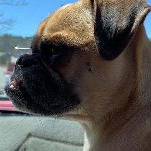 Meet your Posher, Debora